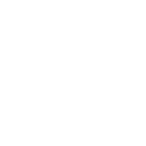 camera_icon